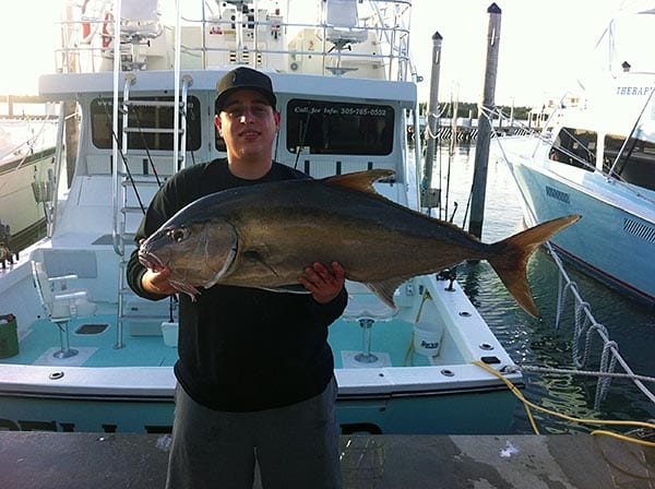 amberjack