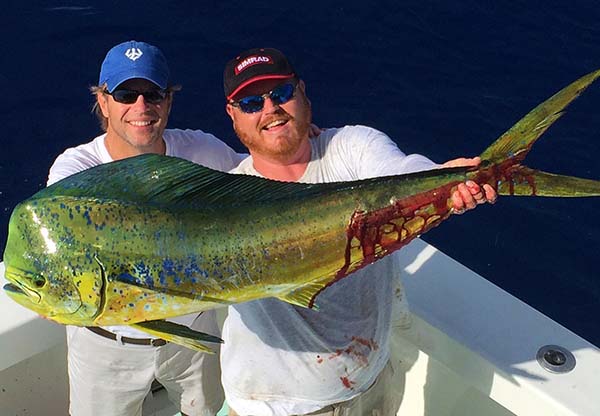 Dolphinfish Fishing is Staying Strong - Spellbound