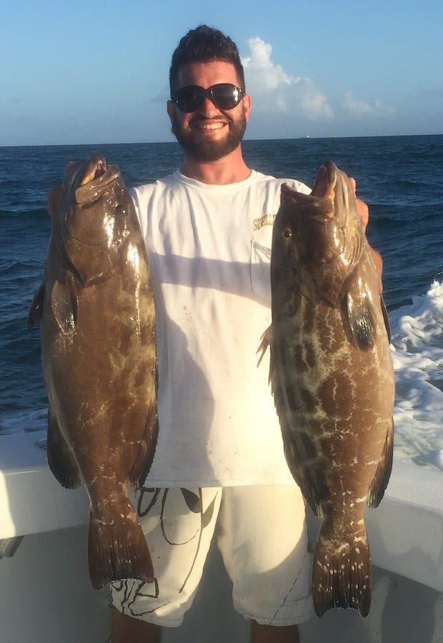 groupers