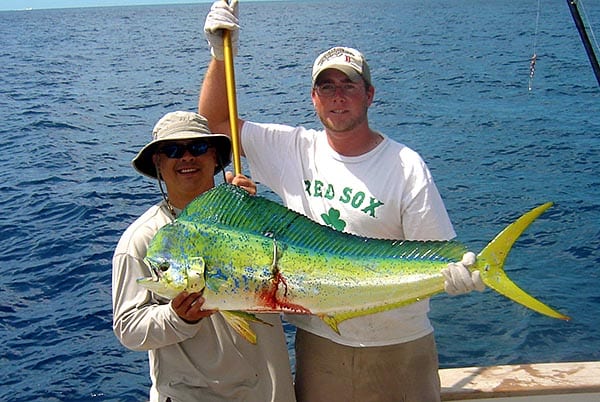 mahimahi-fishing