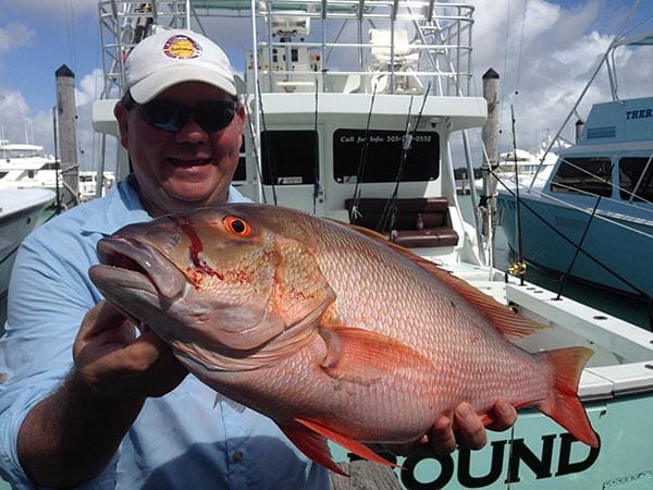 Fishing Report: The month of May is all about snapper fishing in