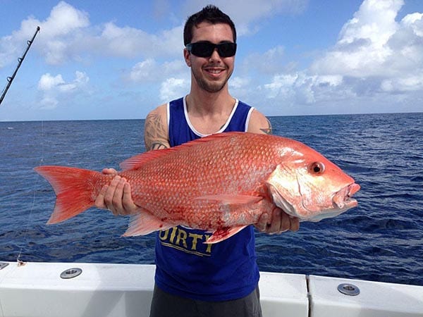 red-snapper