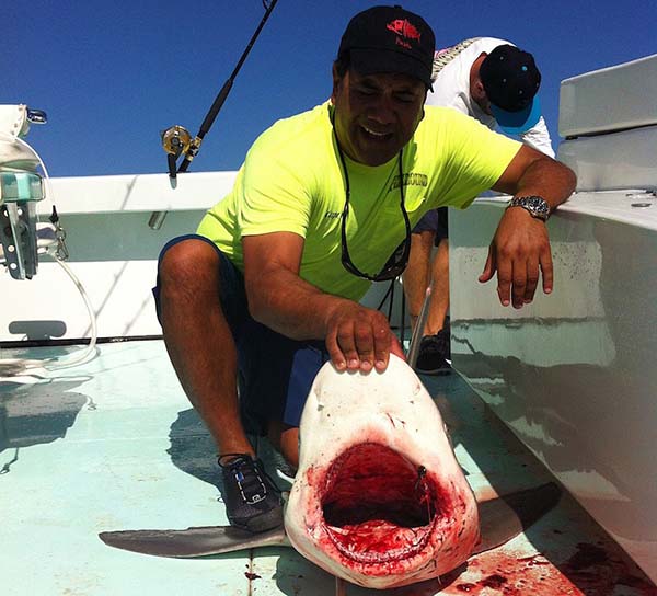 Fall Shark Fishing - Spellbound