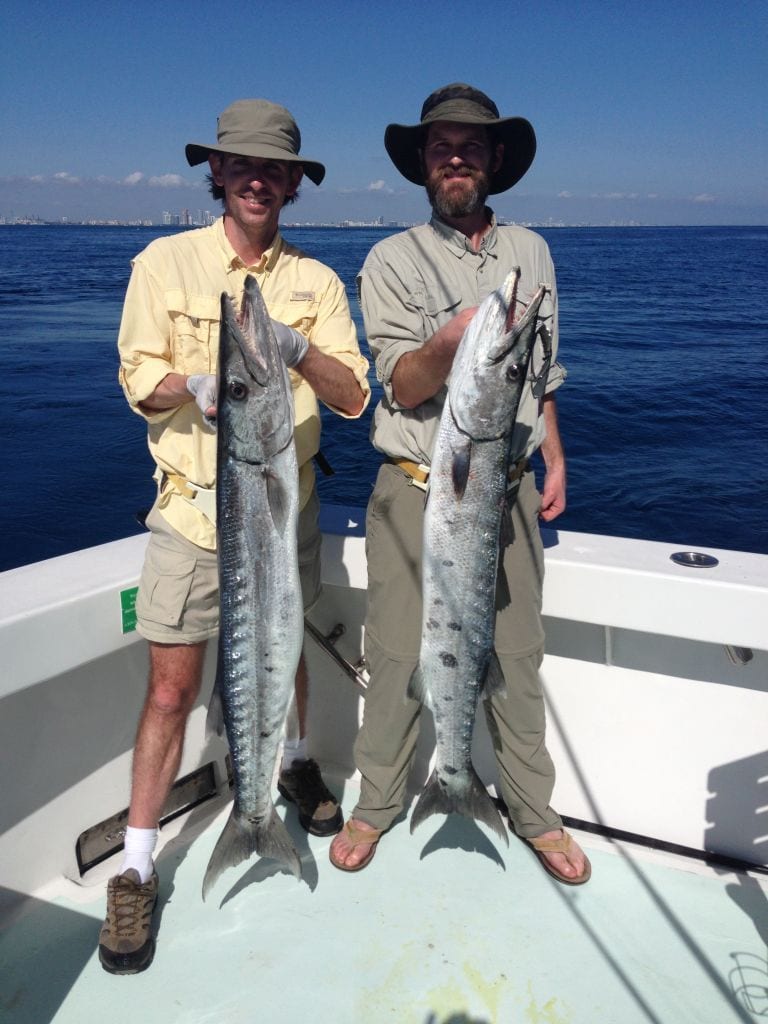 two-barracudas